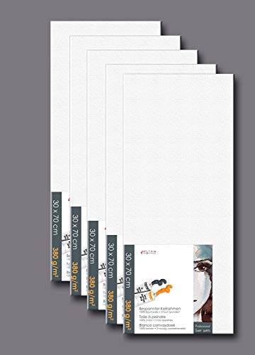 empireposter 5 Stück Spar-Set (5er Set) Künstlerbedarf - Leinwand - Keilrahmen - Grösse - 30x70 cm von empireposter