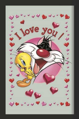 empireposter Looney Tunes Tweety I Love You - Bedruckter Spiegel mit Kunststoff Rahmen, Kult-Spiegel - Grösse 20x30 cm von empireposter