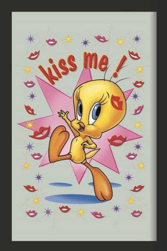 empireposter 619464 Looney Tunes Tweety Kiss Me Bedruckter Spiegel mit Kunststoff Rahmen Größe 20 x 30 cm von empireposter
