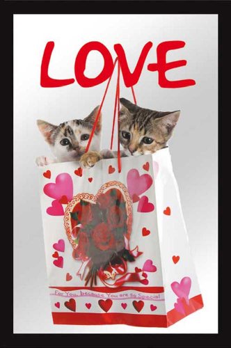 empireposter 632555 Cats - Love - Bedruckter Spiegel mit Kunststoff Rahmen, Größe 20 x 30 cm von empireposter