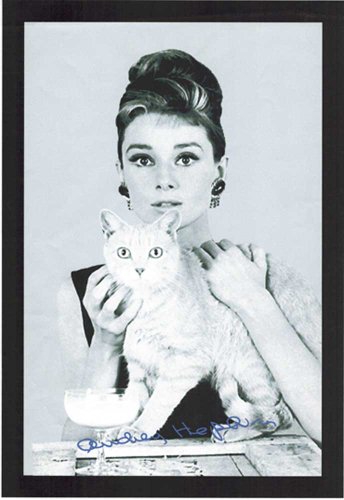 empireposter Audrey Hepburn - Cat- Bedruckter Spiegel Kunststoff Rahmen in Holzoptik, Kult-Spiegel - Größe 30x40 cm von empireposter