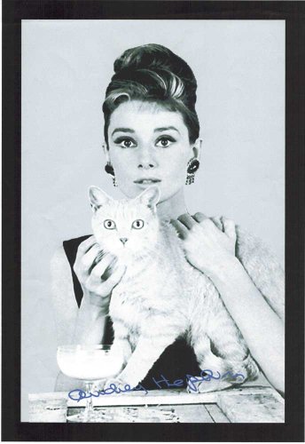 empireposter Audrey Hepburn Katze - Bedruckter Spiegel mit Kunststoff Rahmen in Holzoptik, Kult-Spiegel - Grösse 20x30 cm von empireposter