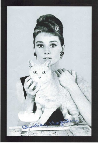empireposter Audrey Hepburn Katze - Bedruckter Spiegel mit Kunststoff Rahmen in Holzoptik, Kult-Spiegel - Grösse 20x30 cm empireposter Audrey Hepburn Katze - Bedruckter Spiegel mit Kunststoff Rahmen in Holzoptik, Kult-Spiegel - Grösse 20x30 cm von empireposter
