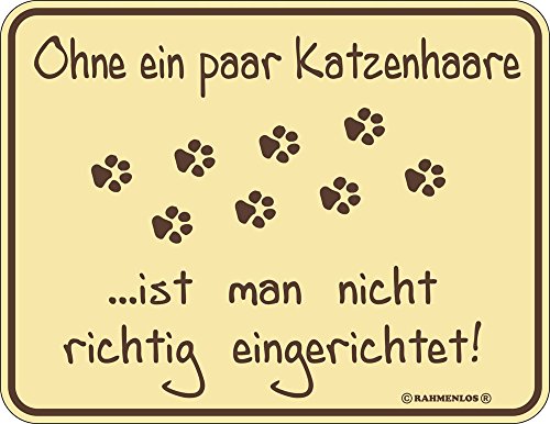 empireposter Ohne EIN Paar Katzenhaare - ist Man Nicht eingerichtet - Geprägter Blechmagnet - 9x7 von empireposter