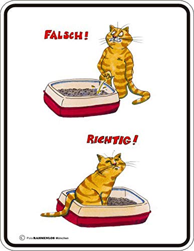 empireposter falsch richtig pinkeln - Blech-Schild Blechschild mit Spruch, 4 Saugnäpfe - Grösse 17x22 cm von empireposter