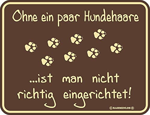 empireposter ohne EIN Paar Hundehaare - Blech-Schild Blechschild mit Spruch, 4 Saugnäpfe - Grösse 22x17 cm von empireposter