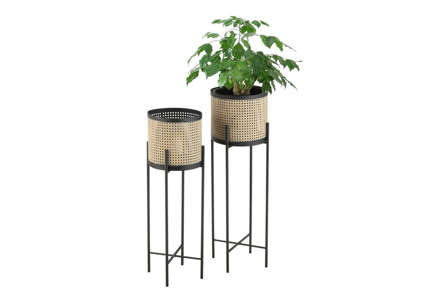en.casa Blumenständer, Colfontaine im 2er Set Pflanzständer Schwarz/Sand en.casa Blumenständer, Colfontaine im 2er Set Pflanzständer Schwarz/Sand von en.casa