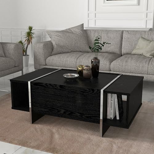 [en.casa] Couchtisch Tavak Wohnzimmertisch 104 x 60 x 38 cm rechteckig Sofatisch mit 1 Schrankfach und 2 offenen Fächern Kaffeetisch Schwarz/Silber von [en.casa]