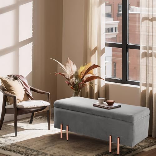 [en.casa] Sitzbank mit Stauraum Dals Sitztruhe Truhenbank gepolstert Samt 118 x 40 x 42 cm Polsterbank mit Deckel klappbar Metallbeine Grau von [en.casa]