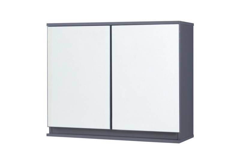 en.casa Spiegelschrank »Overath« Badezimmerschrank mit 2 Türen 60 x 20 x 50 cm Grau von en.casa
