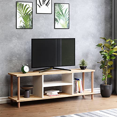 [en.casa] TV Schrank Ærøskøbing mit 2 Ablagefächern TV Bank 43 x 120 x 29 cm Fernsehtisch mit 2 Staufächern Lowboard TV Möbel Fernsehschrank Holzoptik/Weiß von [en.casa]