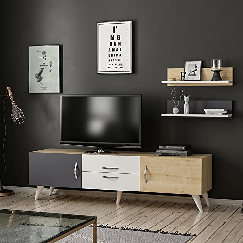 [en.casa] TV Schrank Hadsten mit 2 Regalen und Stauraum Fernsehtisch TV Bank 45 x 160 x 31 cm Lowboard TV Möbel Fernsehschrank Mehrfarbig von [en.casa]