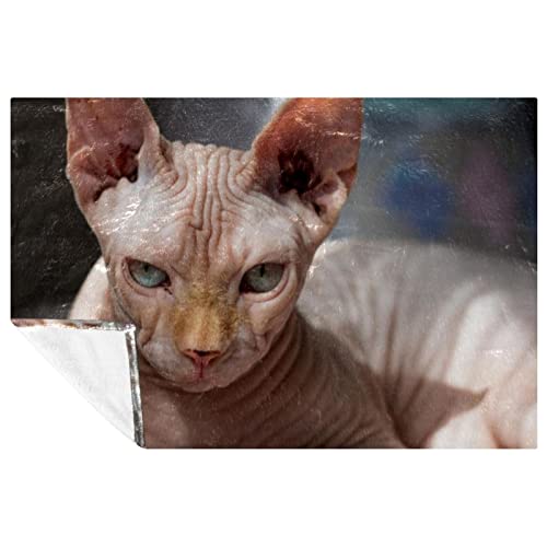 Fleece-Überwurfdecke für Couch – gemütliche, leichte, weiche Decken und Überwürfe für Erwachsene und Kinder – 149,9 x 99,8 cm – coole Sphynx-Katze liegend von enheng