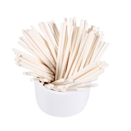 100pcs/Bag Lollipop Sticks, 10cmx0.35 cm/3.9inchx0.13inch Bunte Lollipop -Sticks Cake Pop Stick für Cupcake -Topper, hausgemachte Süßigkeiten, Schokolade, Dessert (Weiß) von equlup