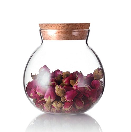 Glasbehälter mit Korkverschluss, Aufbewahrungsglas, als Terrarium verwendbar, rund, klar, 500 ml (17 fl. oz) von erioctry