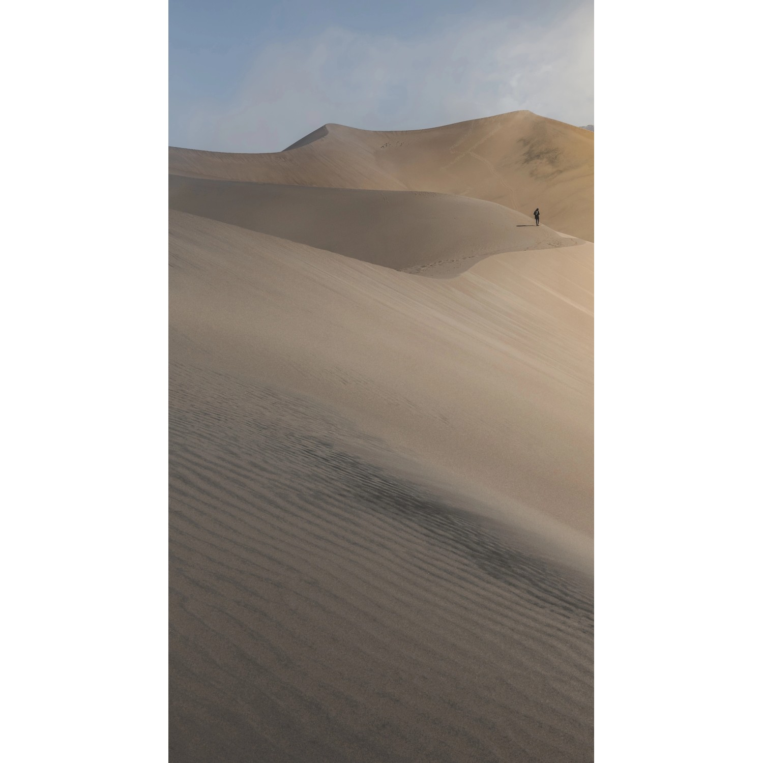 Erismann Digitaltapete Zooom Desert 270 cm x 150 cm von erismann