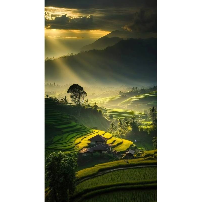 Erismann Digitaltapete Zooom Java 270 cm x 150 cm Erismann Digitaltapete Zooom Java 270 cm x 150 cm von erismann