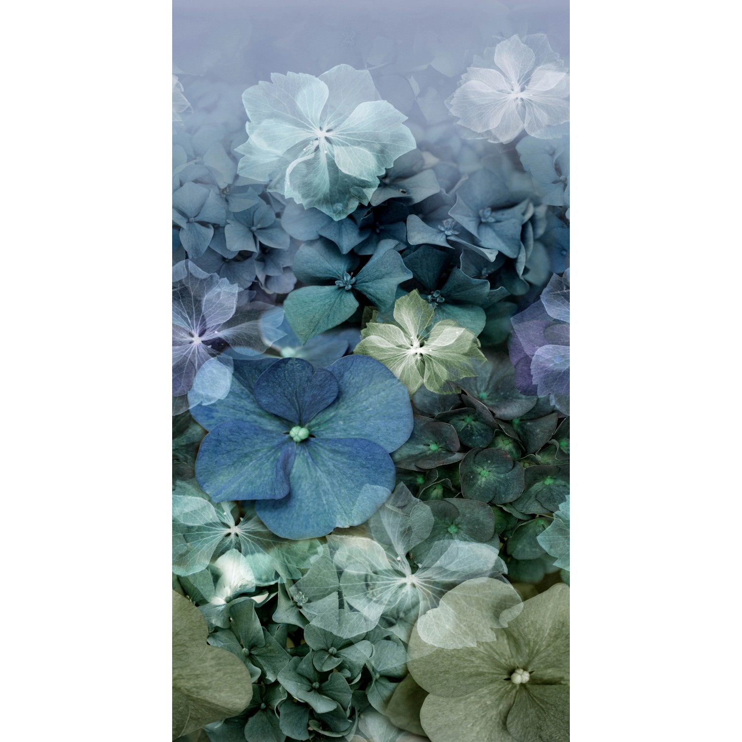 Erismann Fototapete Hydrangea 150 cm x 280 cm Blau von erismann