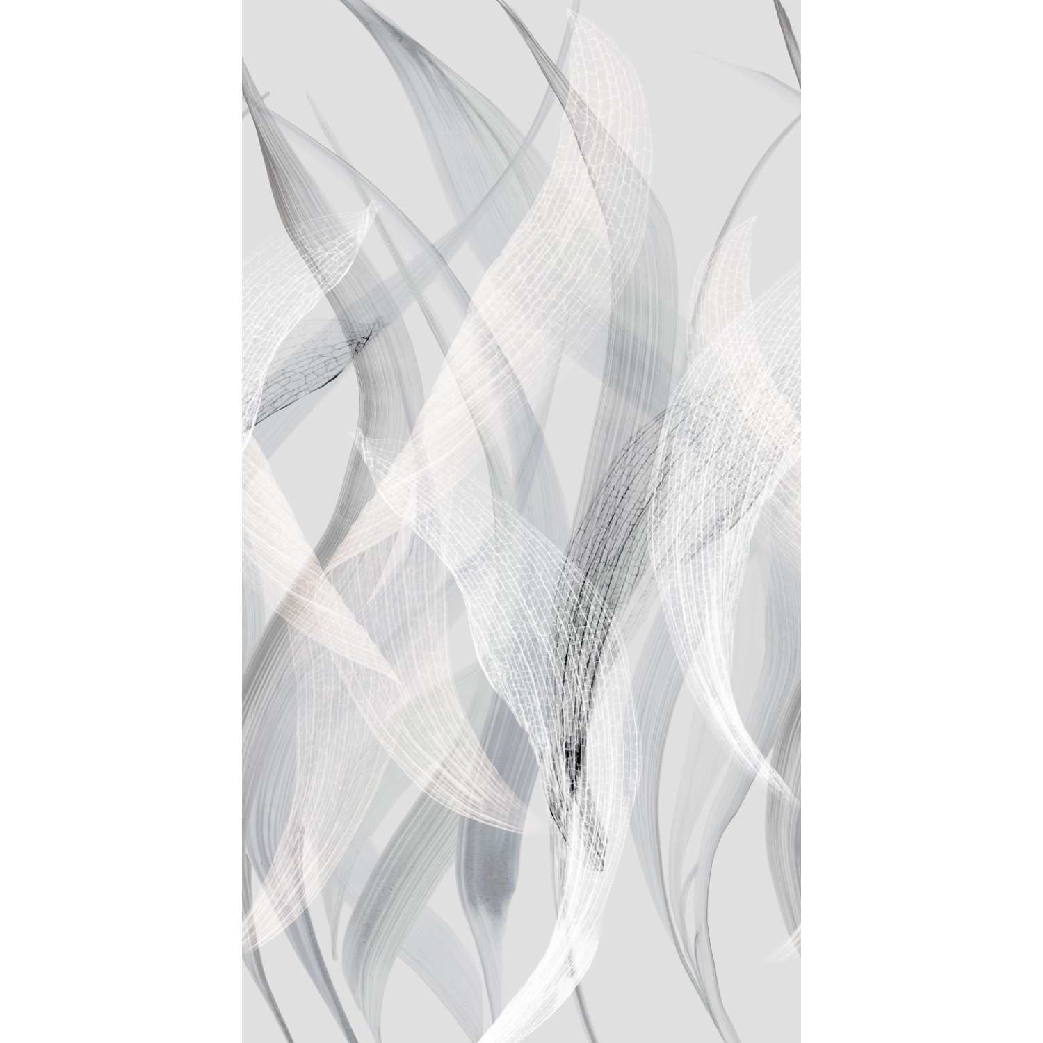 Erismann Fototapete Tender Veils 150 cm x 280 cm Grau von erismann