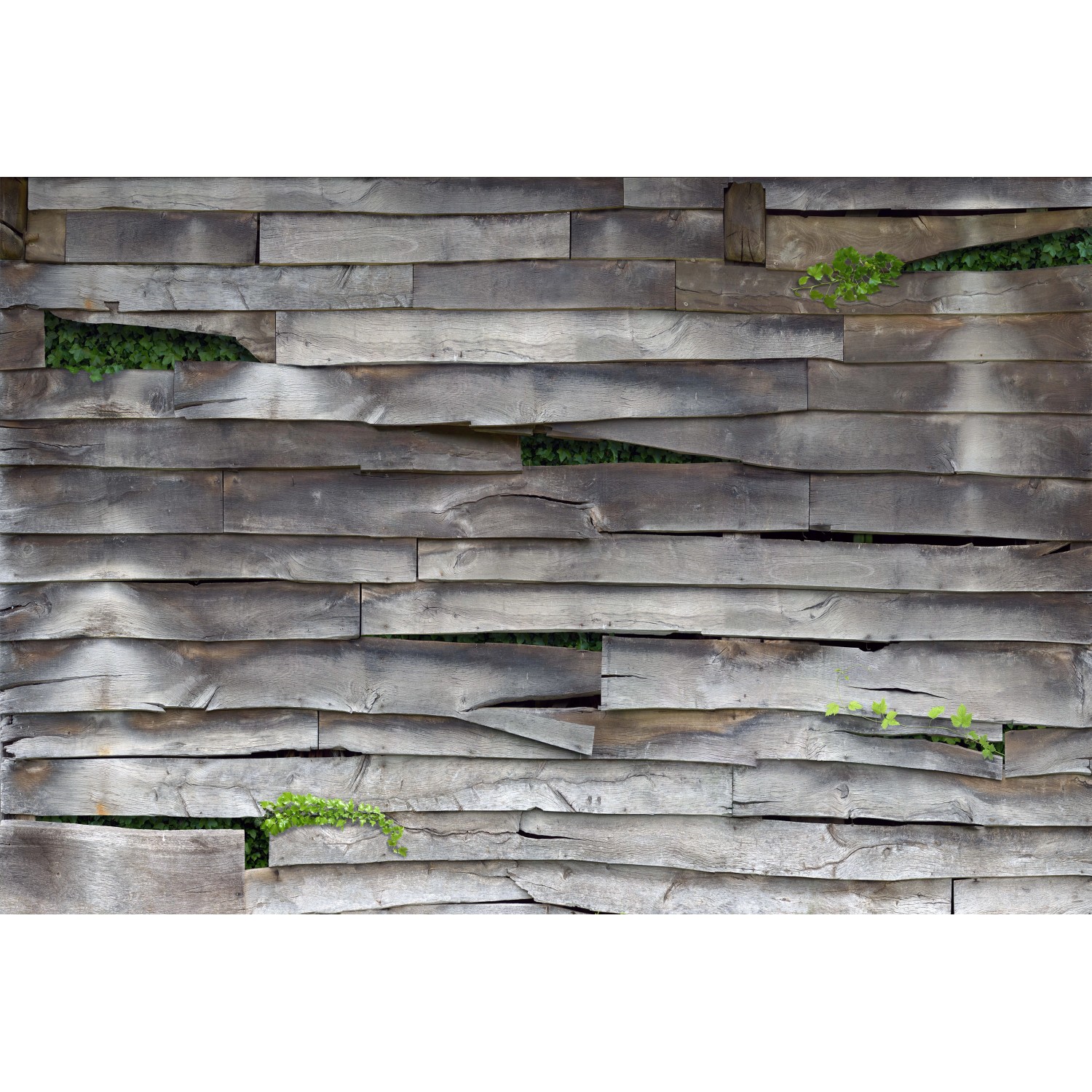 Erismann Fototapete Vlies Timber Grau 400 cm x 270 cm von erismann