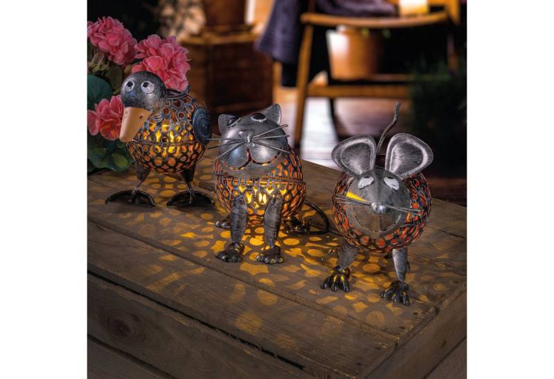 esotec Gartenfigur Solar Leuchttierset "Streichelzoo" silberfarben von esotec