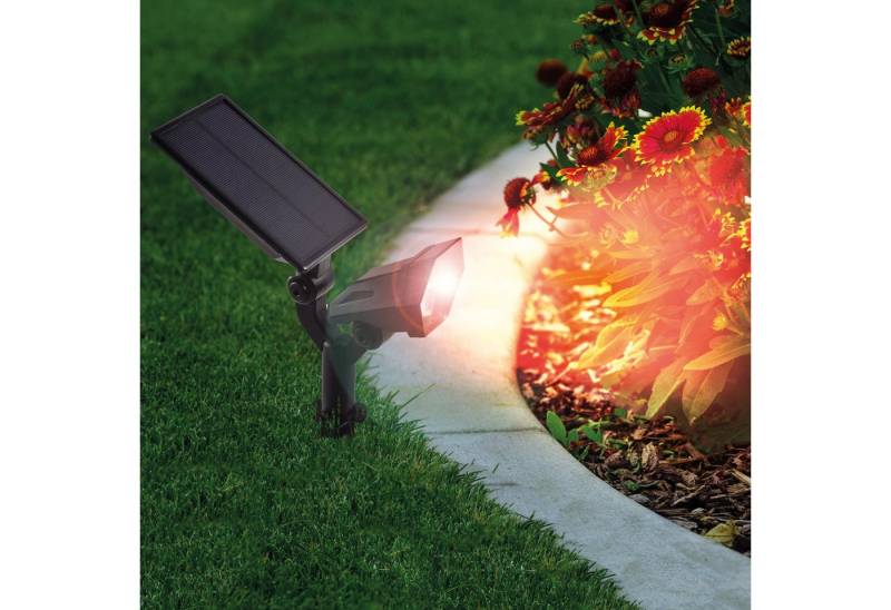 esotec Gartenstrahler *Solar "Multi Spot RGB" esotec Gartenstrahler *Solar "Multi Spot RGB" von esotec