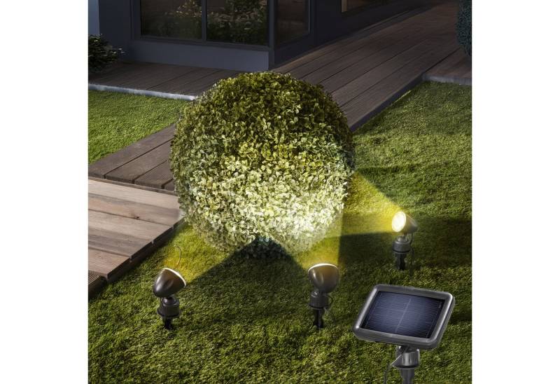 esotec Gartenstrahler 3er SET Solarspot TRIO für Wand und Boden, warmweiß 3500K außen 102540 esotec Gartenstrahler 3er SET Solarspot TRIO für Wand und Boden, warmweiß 3500K außen 102540 von esotec
