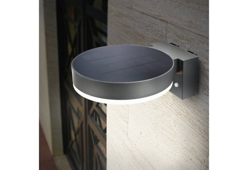 esotec Hausnummer Solar Hausnummernleuchte DIANA mit Bewegungsmelder 40LEDs 4000K 102598 esotec Hausnummer Solar Hausnummernleuchte DIANA mit Bewegungsmelder 40LEDs 4000K 102598 von esotec