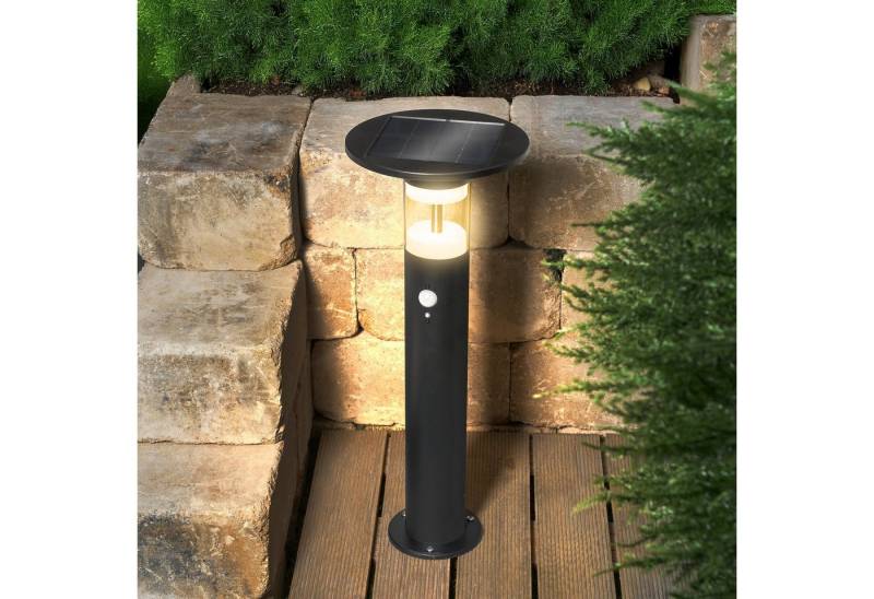 esotec LED Gartenleuchte *Solar PIR Standleuchte "Amelia 53" von esotec