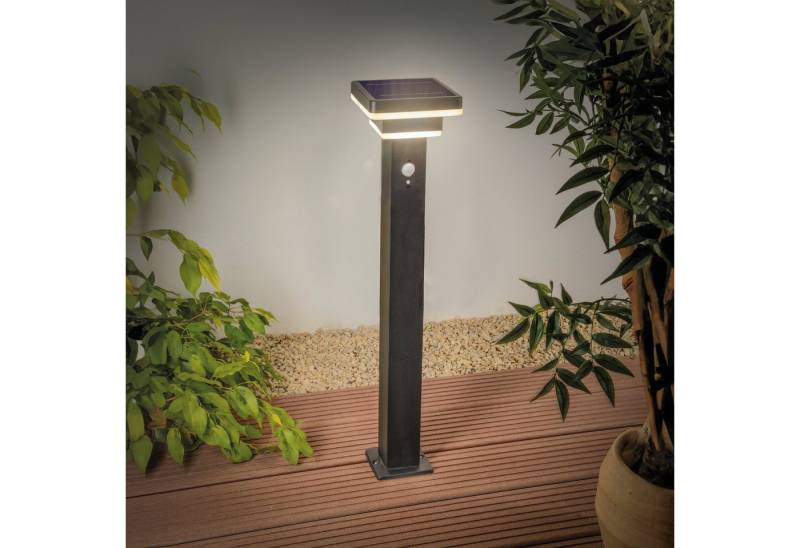 esotec LED Gartenleuchte *Solar PIR Standleuchte "Lucca 86" esotec LED Gartenleuchte *Solar PIR Standleuchte "Lucca 86" von esotec