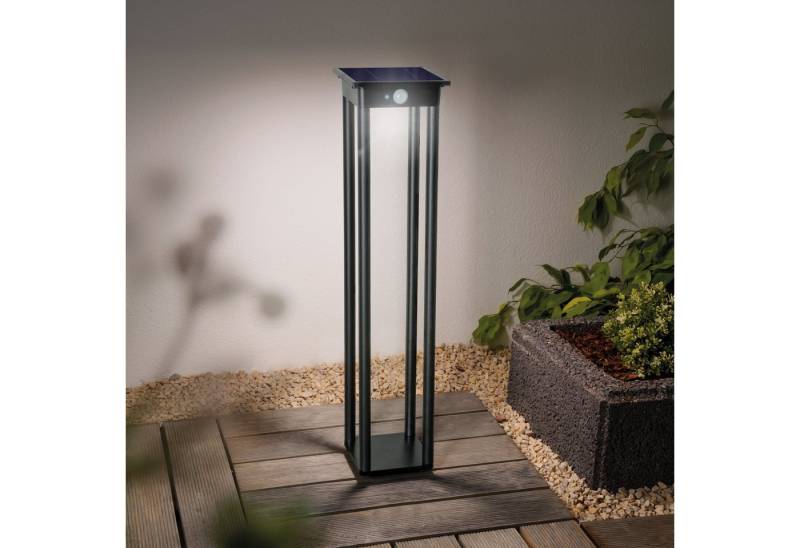 esotec LED Gartenleuchte *Solar PIR Standleuchte "Meduno 66" esotec LED Gartenleuchte *Solar PIR Standleuchte "Meduno 66" von esotec