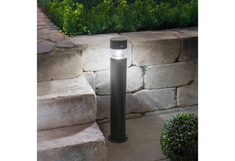 esotec LED Gartenleuchte Solar Edelstahl PIR Standleuchte Elara H50cm 4000K outdoor IP44 102953 esotec LED Gartenleuchte Solar Edelstahl PIR Standleuchte Elara H50cm 4000K outdoor IP44 102953 von esotec