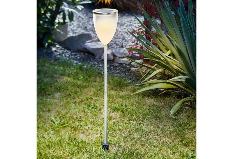 esotec LED Gartenleuchte Solar Stecklampe Tropic Light H=59cm, DUO COLOR 2800K + 6500K, 102607 von esotec