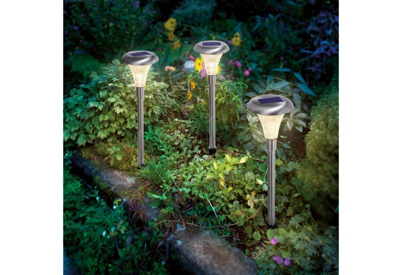 esotec LED Gartenleuchte Solar Stableuchten 3er Set "Capri 34" duo color esotec LED Gartenleuchte Solar Stableuchten 3er Set "Capri 34" duo color von esotec