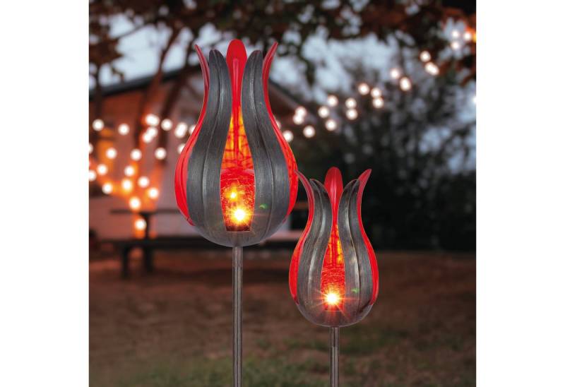 esotec LED Gartenleuchte Solar Stableuchtenset Lilie 12/ 15 cm rot von esotec