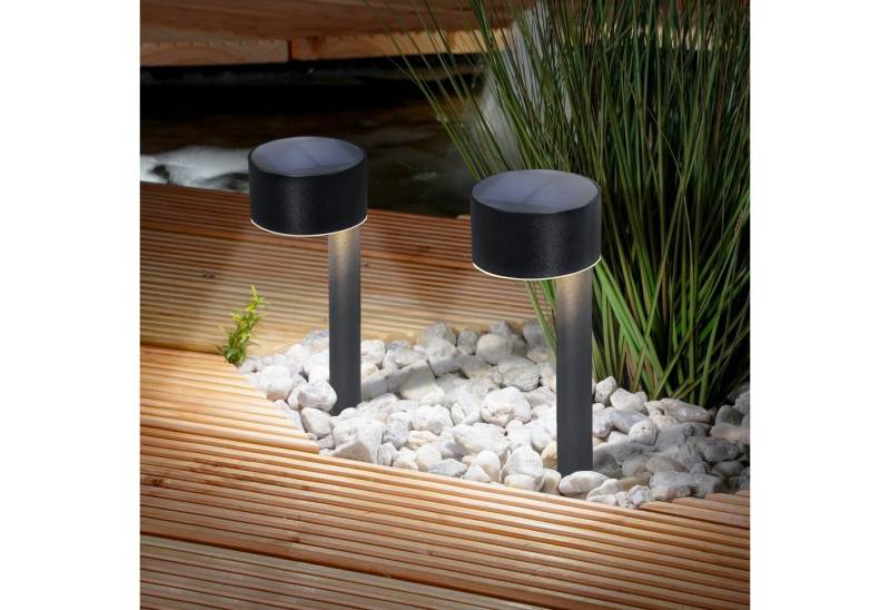 esotec LED Gartenleuchte Solarleuchtenset "Josie 24" von esotec
