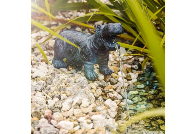 esotec Wasserspeier Solar Wasserspeier-Set "Hippo" esotec Wasserspeier Solar Wasserspeier-Set "Hippo" von esotec