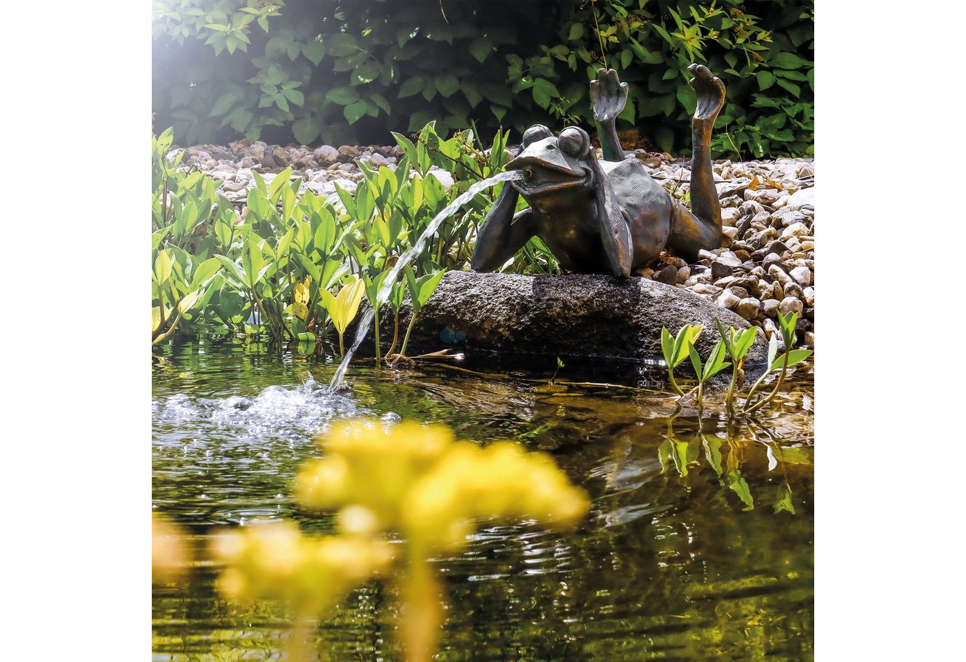 esotec Wasserspeier Solar Wasserspeier-Set "Lazy Frog" esotec Wasserspeier Solar Wasserspeier-Set "Lazy Frog" von esotec