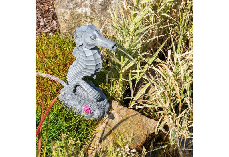 esotec Wasserspeier Wasserspeierset Seepferdchen "Ida" von esotec