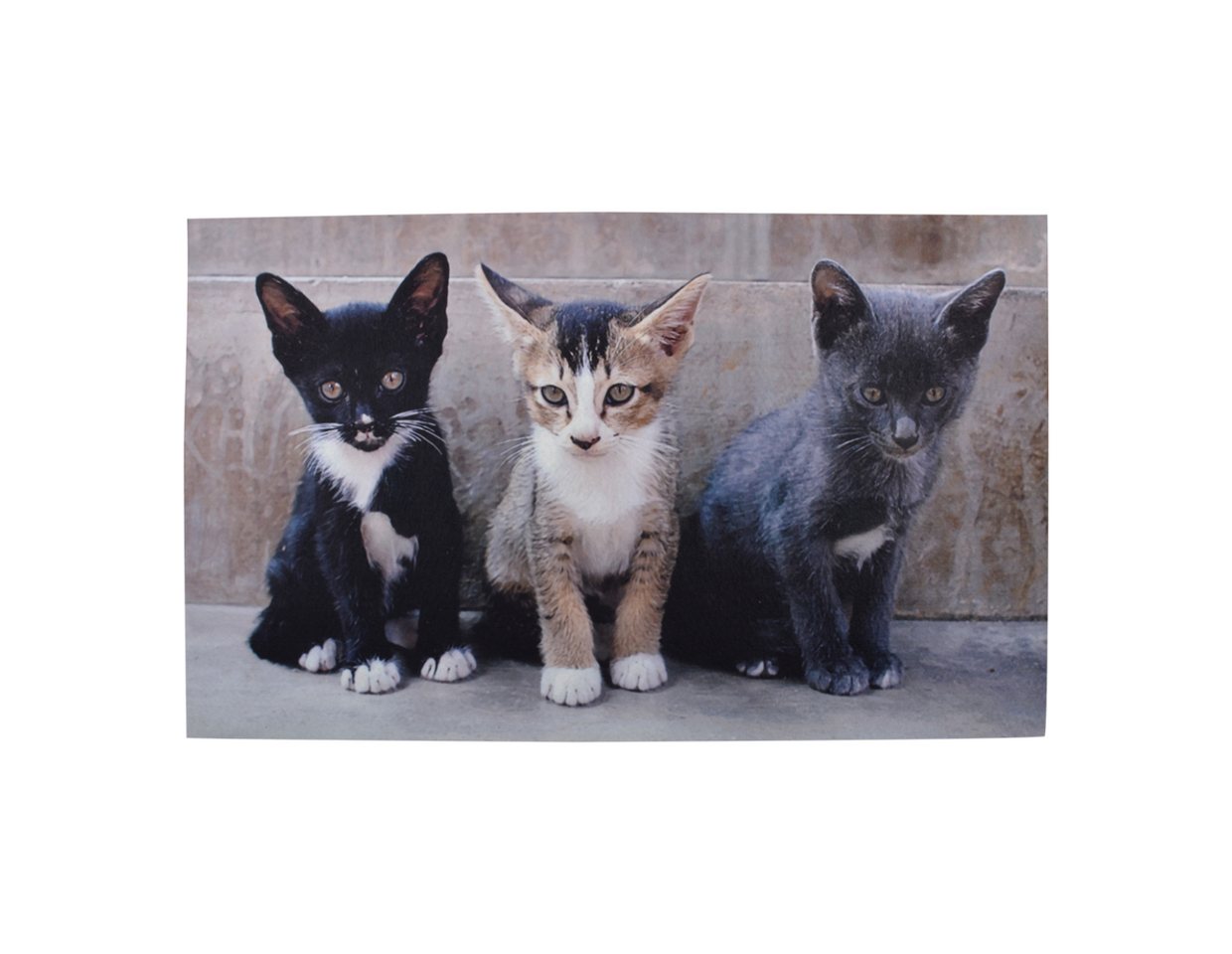 Fußmatte Türmatte Katzen Kinder 76x45 cm Fotodruck Türvorleger, esschert design von esschert design