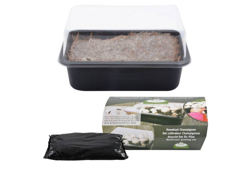 esschert design Anzuchttopf, bis zu 3 Ernten, ideal für das ganze Jahr esschert design Anzuchttopf, bis zu 3 Ernten, ideal für das ganze Jahr von esschert design