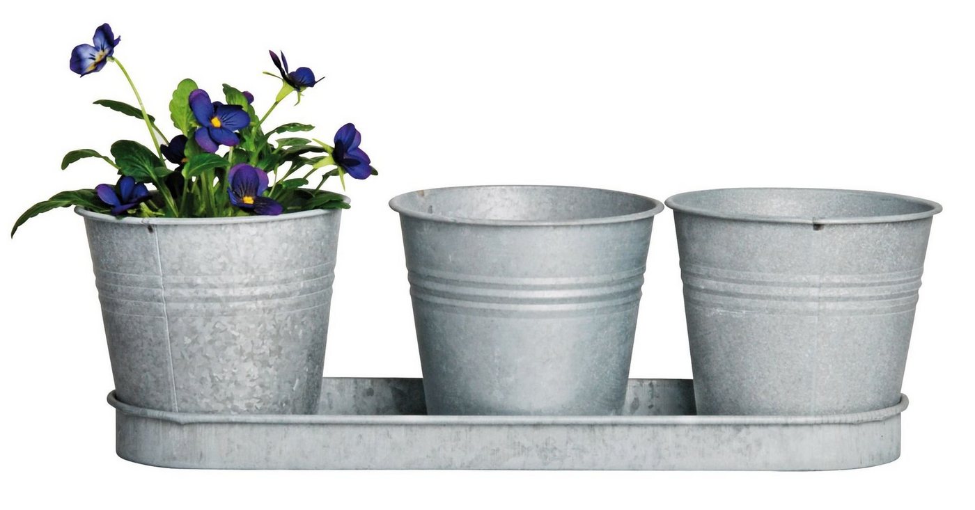 esschert design Blumentopf (Set, 3 St), Übertopf oder Anzuchttopf, auf einem Tablett von esschert design