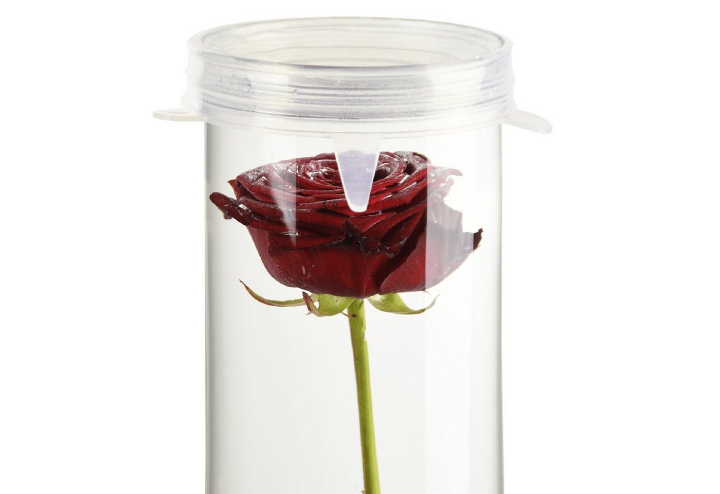 esschert design Kugelvase Kappe Deckel Verschluss für Versunkene Blumen Vase Wasser Pflanzen Schutz (1 Deckel) von esschert design