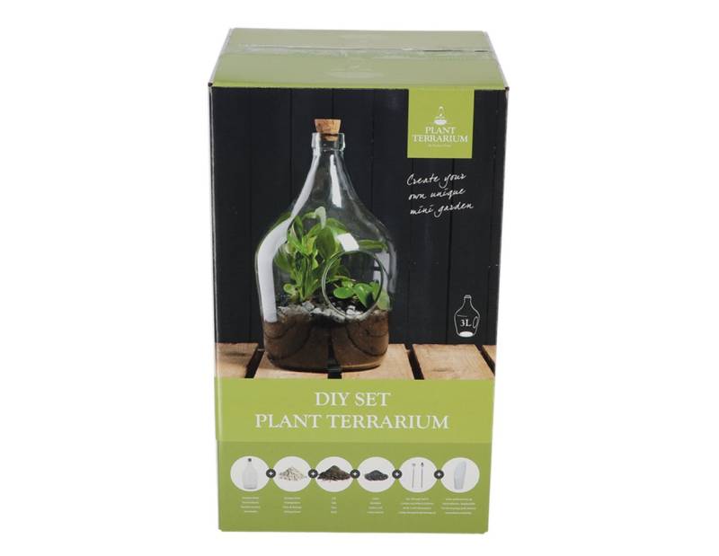 esschert design Pflanzschale AGG92, Pflanzliches Terrarium 3 Liter DIY Pflanzgefäß zum selber machen von esschert design