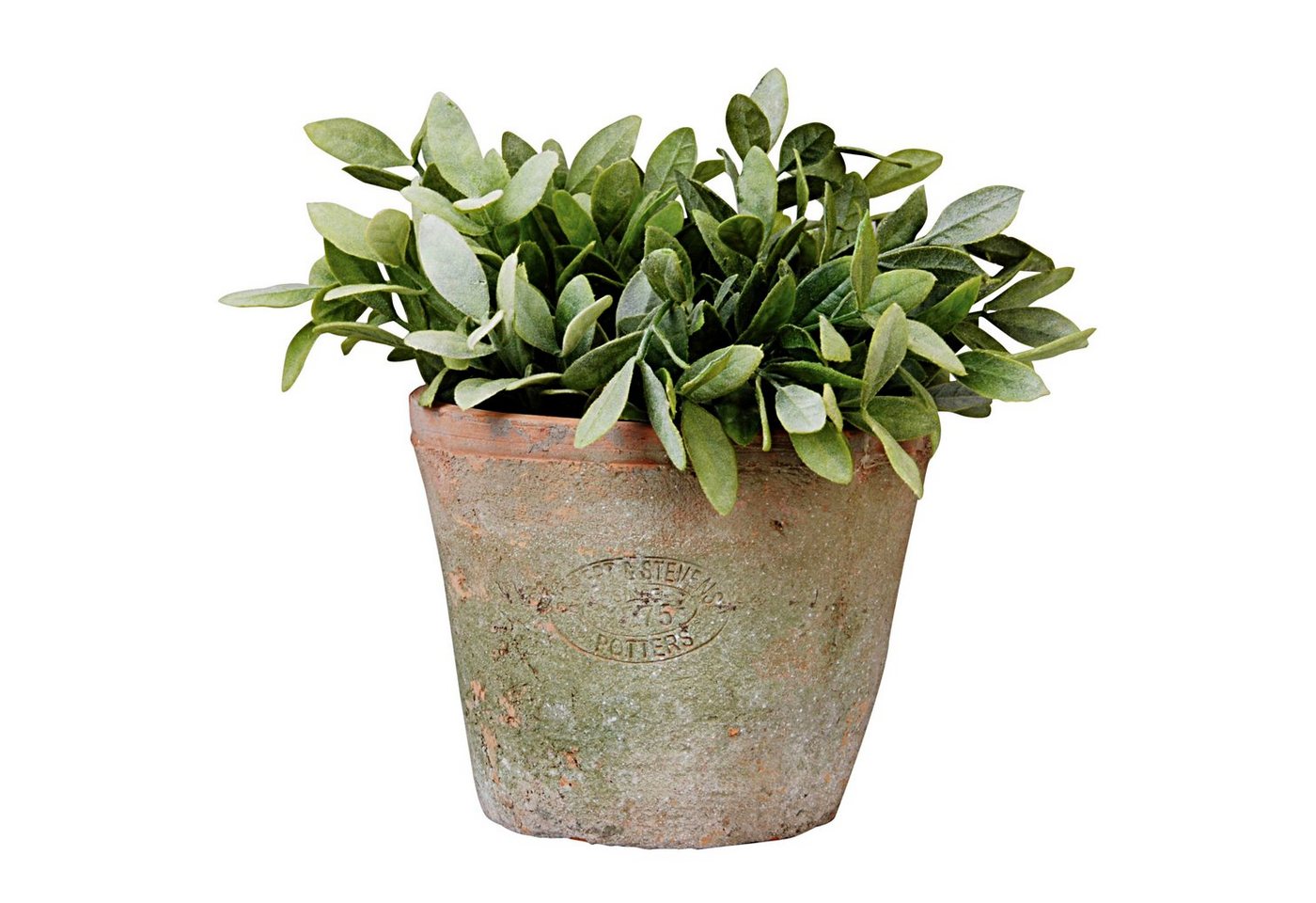 esschert design Übertopf 12 cm hoch Aged Terracotta Blumentopf Übertopf Umtopf rund Pflanzen esschert design Übertopf 12 cm hoch Aged Terracotta Blumentopf Übertopf Umtopf rund Pflanzen von esschert design