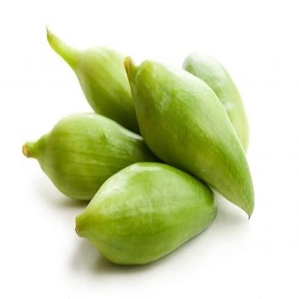 40 Stück grüne Achocha-Gemüsesamen von etechondra