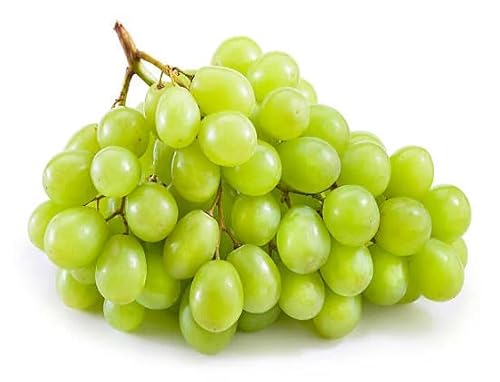 Neu Frische 100 Stücke Trauben Obst Samen grün von etechondra