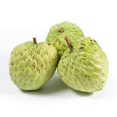 Neu Frische 100 stücke Custard Apple Obst Samen grün von etechondra