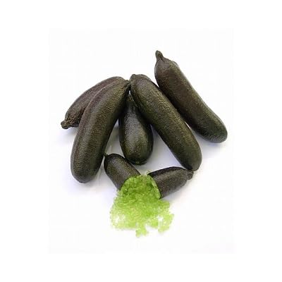 Neu Frische 100 stücke Finger Lime Fruchtsamen schwarz von etechondra