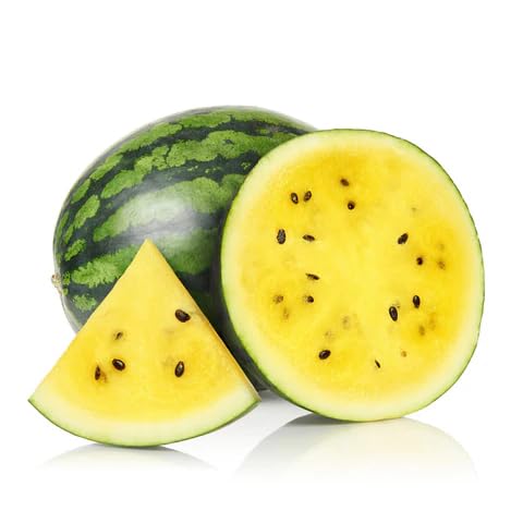 Neu Frische 100 stücke Wassermelone Fruchtsamen gelb von etechondra